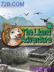 TheLlamaAdventure